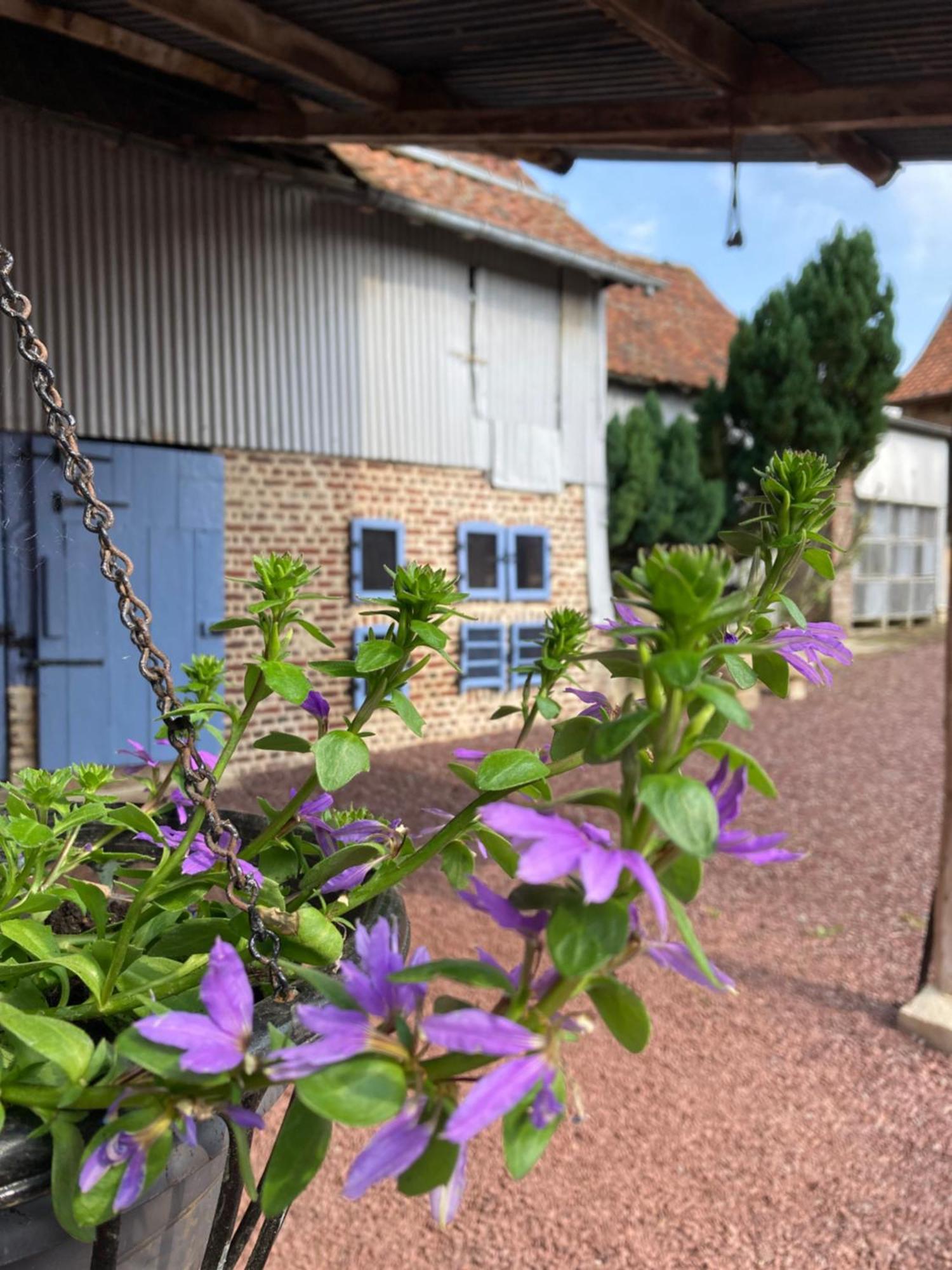 Villa La Grange Aux Tommies - Pays Du Coquelicot Bus-les-Artois Exterior foto